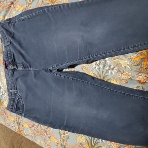 GLORIA VANDERBILT plus size slim Sadie jeans